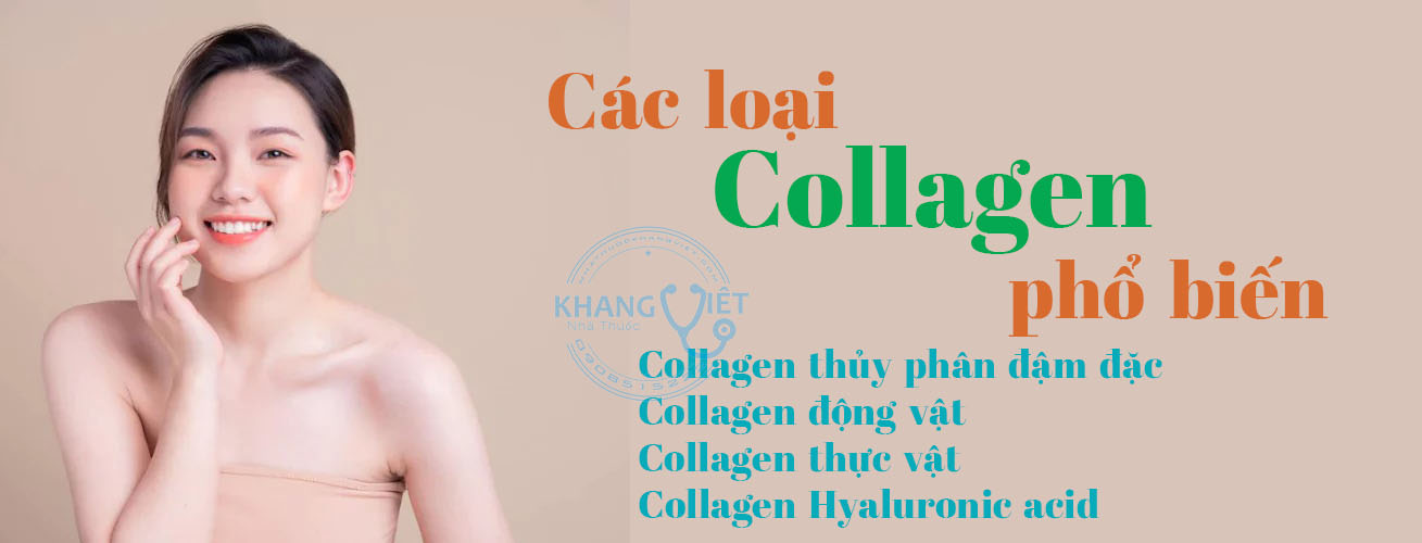 Các Loại Collagen Cho Phụ Nữ Tuổi 30
