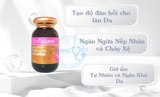 Công Dụng Và Lợi ích Của Viên Uống Collagen 6 In 1 Spring Leaf Inner Beauty