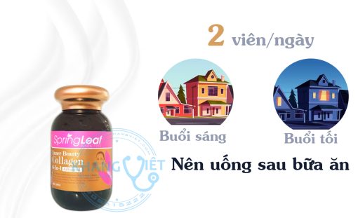 Hướng Dẫn Sử Dụng Viên Uống Collagen 6 In 1 Spring Leaf Inner Beauty