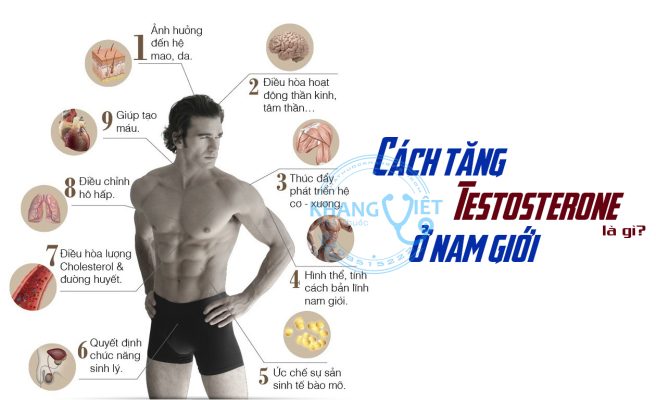 Cách Tăng Testosterone Nam 5