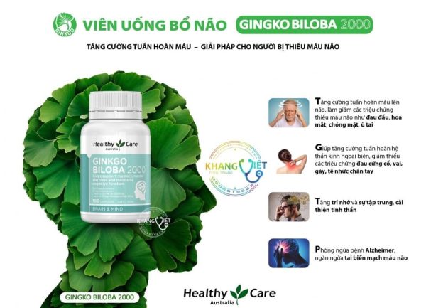 Thanh phan cua Ginko Biloba 2000 Healthy Care