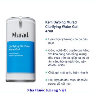 Thanh phan chinh cua Gel ngua mun Murad Clarifying Oil Free Water Gel