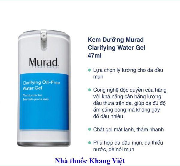 Thanh phan chinh cua Gel ngua mun Murad Clarifying Oil Free Water Gel
