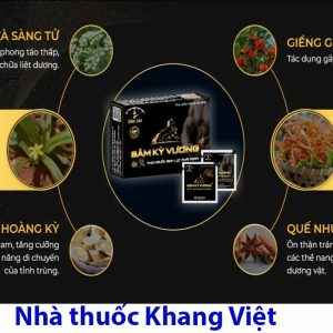 Thanh phan chinh cua san pham sam ky vuong