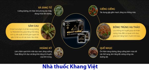 Thanh phan chinh cua san pham sam ky vuong