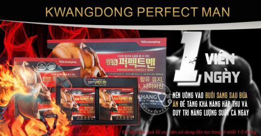 Kwangdong perfect man viên uống tăng cường sinh lý nam giới Hàn Quốc ( Hộp 240 viên)