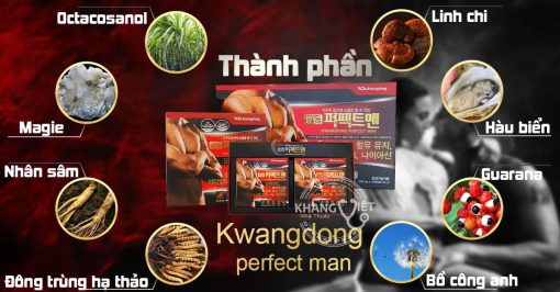 Kwangdong perfect man viên uống tăng cường sinh lý nam giới Hàn Quốc ( Hộp 240 viên)