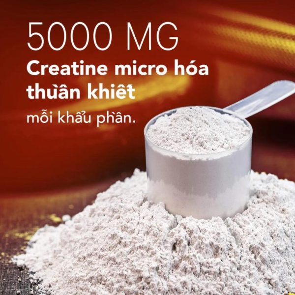 Bột Creatine Codeage Liposomal – Tăng Cơ, Tăng Sức Mạnh, Hỗ Trợ Tập Luyện Cường Độ Cao