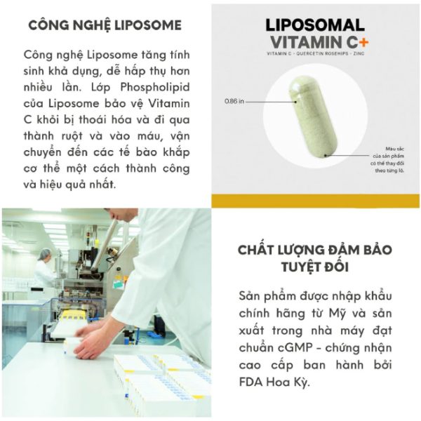 Collagen, Vitamin C & Probiotic Codeage – Bộ 3 Vàng Cho Làn Da Căng Bóng, Mịn Màng Tự Nhiên