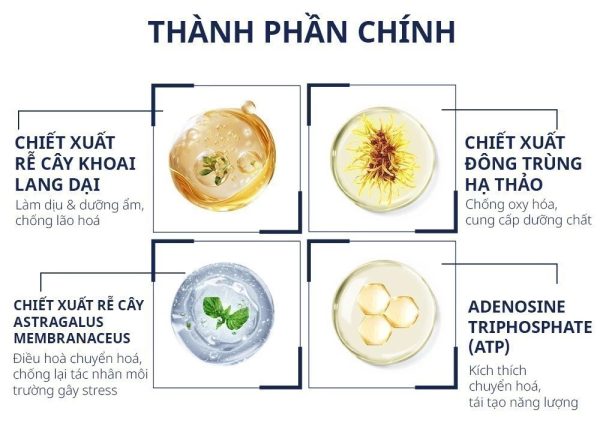 Combo Obagi Rebalance & Obagi Environmental Defense – Chống Oxy Hóa, Phục Hồi Và Bảo Vệ Da Toàn Diện