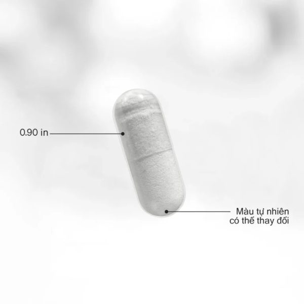 Viên Uống Collagen Codeage Amen – Dưỡng Da Căng Mướt, Làm Mờ Nếp Nhăn