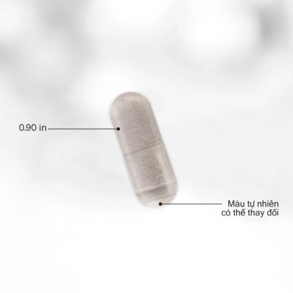 Viên Uống Collagen Thuần Chay Trẻ Hóa Da Codeage Amen Vegan Collagen Builder+