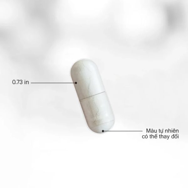 Viên Uống Vitamin ADK Codeage – Bổ Sung A, D3, K2 Cho Cơ Thể Khỏe Mạnh Mỗi Ngày