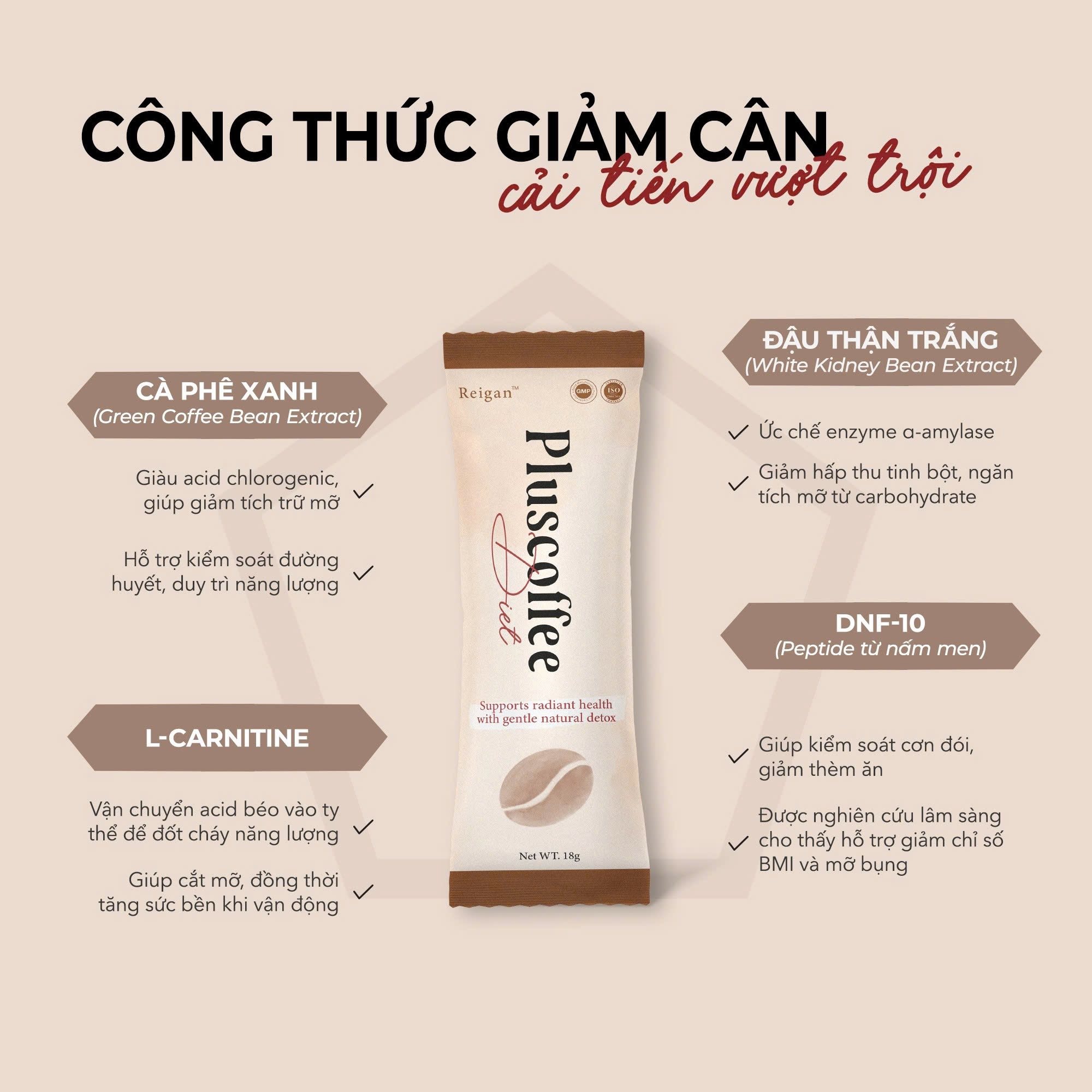 Thành phần Giảm cân Plus Coffee Diet Giảm cân Plus Coffee Diet – Hỗ trợ loại bỏ mỡ thừa, duy trì vóc dáng lý tưởng mỗi ngày